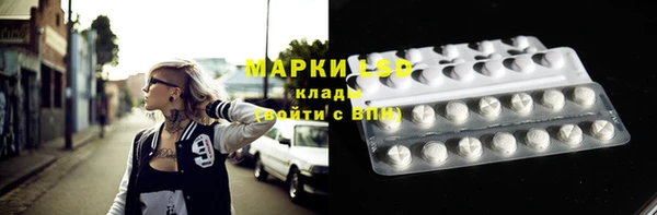 PSILOCYBIN Абдулино