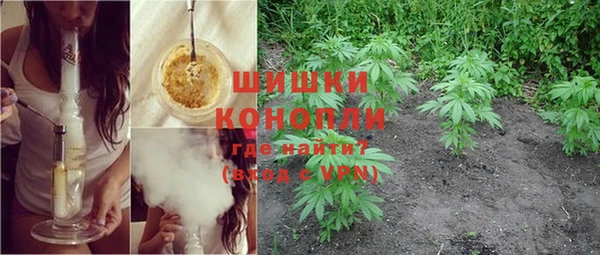 PSILOCYBIN Абдулино