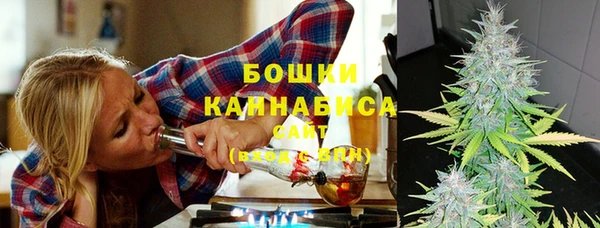 PSILOCYBIN Абдулино