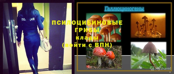 PSILOCYBIN Абдулино