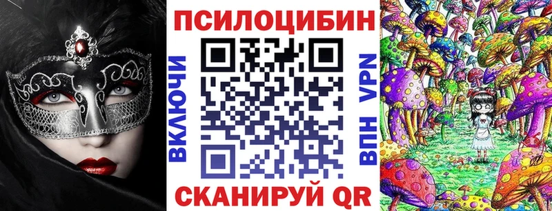 закладка  Руза  Псилоцибиновые грибы мухоморы 